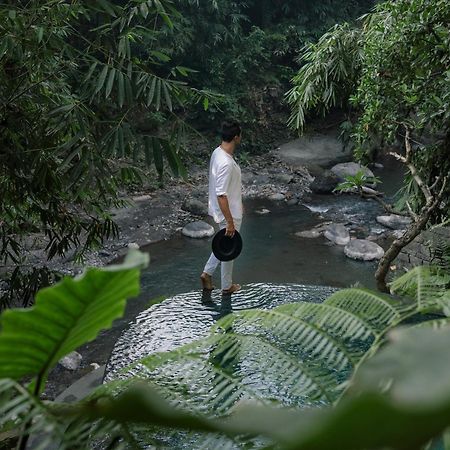 فندق Suenyo Eco Retreat Selemadeg المظهر الخارجي الصورة